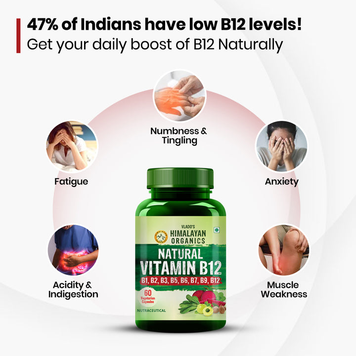Vlado's Himalayan Organics Natural Vitamin B12 Supplement- with Vitamin B1,B2,B3,B5,B6,B7,B9,Moringa | Support Nerve Health & Brain Function I Energy Production, Energy, Maximize Absorption, Boost Metabolism I For Men & Women - 60 Vegetarian Capsules