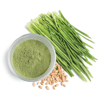 Organic Wheatgrass Powder