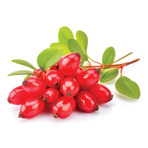 Liposomal Berberine Hydrochloride 25:1