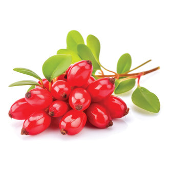Liposomal Berberine Hydrochloride 25:1