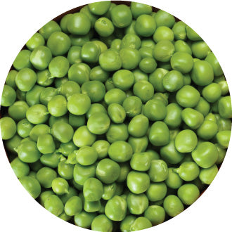 Organic Pea Protein Isolate
