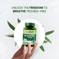 Himalayan Organics N-Acetyl L-Cysteine | Non-GMO | Gluten-Free | Supports Respiratory Health & Gluthathione Production (60 Capsules)