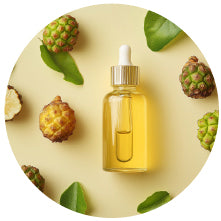 Noni Extract (Morinda citrifolia Fruit)
