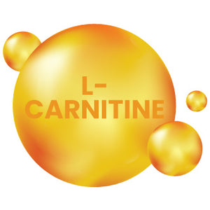 L-Carnitine