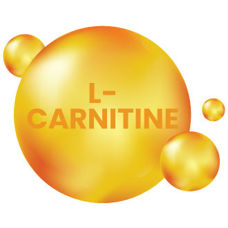 L-Carnitine