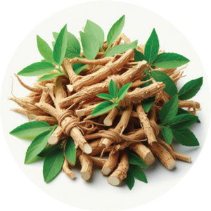 Shilajit Shudh Extract
