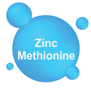 Zinc Methionine