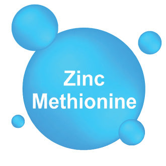 Zinc Methionine