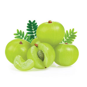Amla Dried Fruit Extract