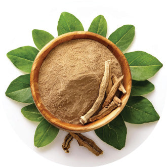 Ashwagandha & Shilajit