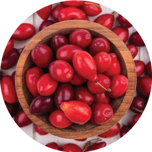 Berberis Aristata (98% Berberine)