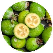 Garcinia Cambogia Extract
