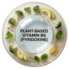 Plant-Based Vitamin B6 (Pyridoxine)