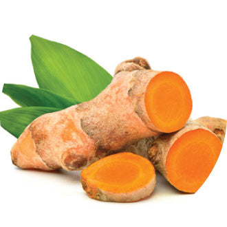 Organic Curcumin (95% Curcuminoids)