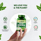 Himalayan Organics Organic Moringa/Drumstick Leaf Powder Tablets | Nutrient-rich Daily Natural Superfood (120 Tablets)