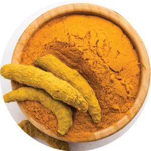 Turmeric Extract (Curcuma longa)