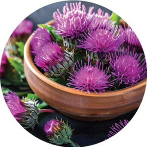 Liposomal Milk Thistle
