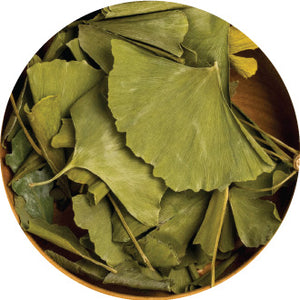 Ginkgo Biloba Extract (24% Flavone Glycosides)
