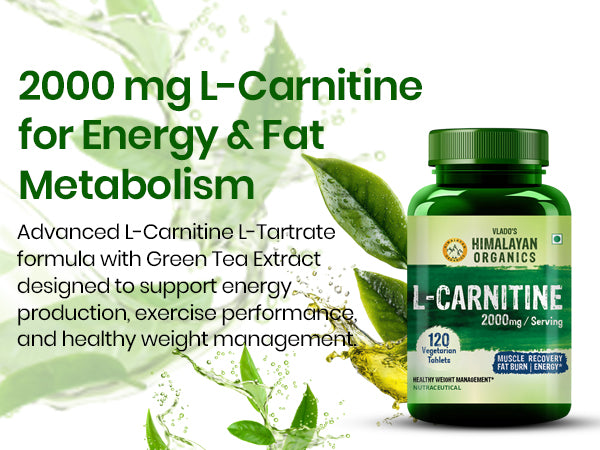 L Carnitine Supplement Best for Fat Burn and Supports Muscle Recovery – Vlado's Himalayan Organics