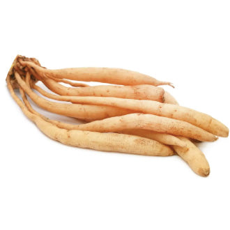 ASP-95™ Shatavari Root Extract