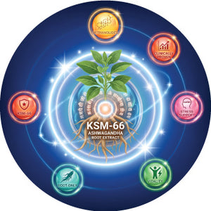 KSM-66 Ashwagandha Root Extract (5% Withanolides)