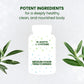 Himalayan Organics N-Acetyl L-Cysteine | Non-GMO | Gluten-Free | Supports Respiratory Health & Gluthathione Production (60 Capsules)