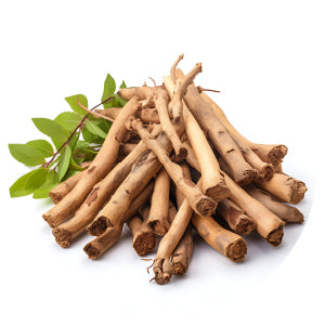 Berberis Root Extract