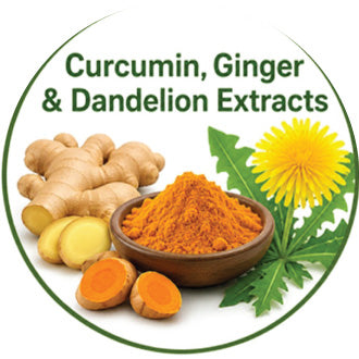 Curcumin, Ginger & Dandelion Extracts