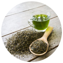 Green Tea Extract