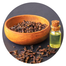 Gudmar Extract