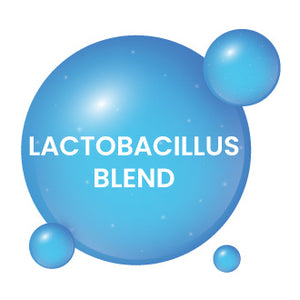 Lactobacillus Blend