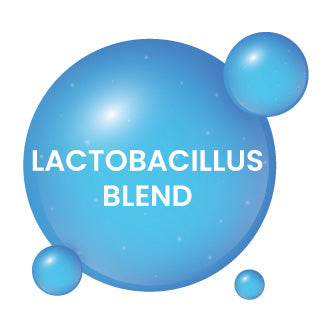 Lactobacillus Blend