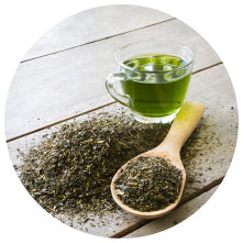 Green Tea Extract