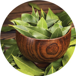 Bay Leaf Extract