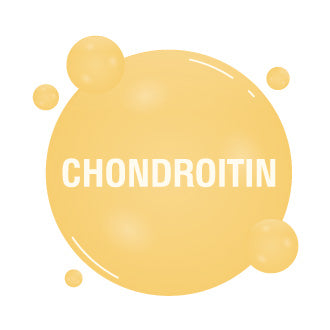 Chondroitin