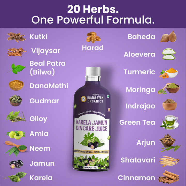 Vlado's Himalayan Organics Karela Jamun Diabetic Care Juice with Neem, Amla, Giloy, Gudmar, Methi, Shatavari, Arjun I Made with 18+ Clinically Proven Natural 100% Ayurvedic Potent Herbs I For Diabetic & Sugar Control I Dia Free Diabic Care Juice - 1L