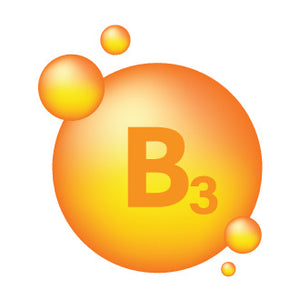 Liposomal Vitamin B3 & Vitamin B5