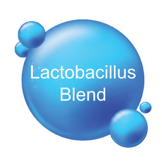 Lactobacillus Blend