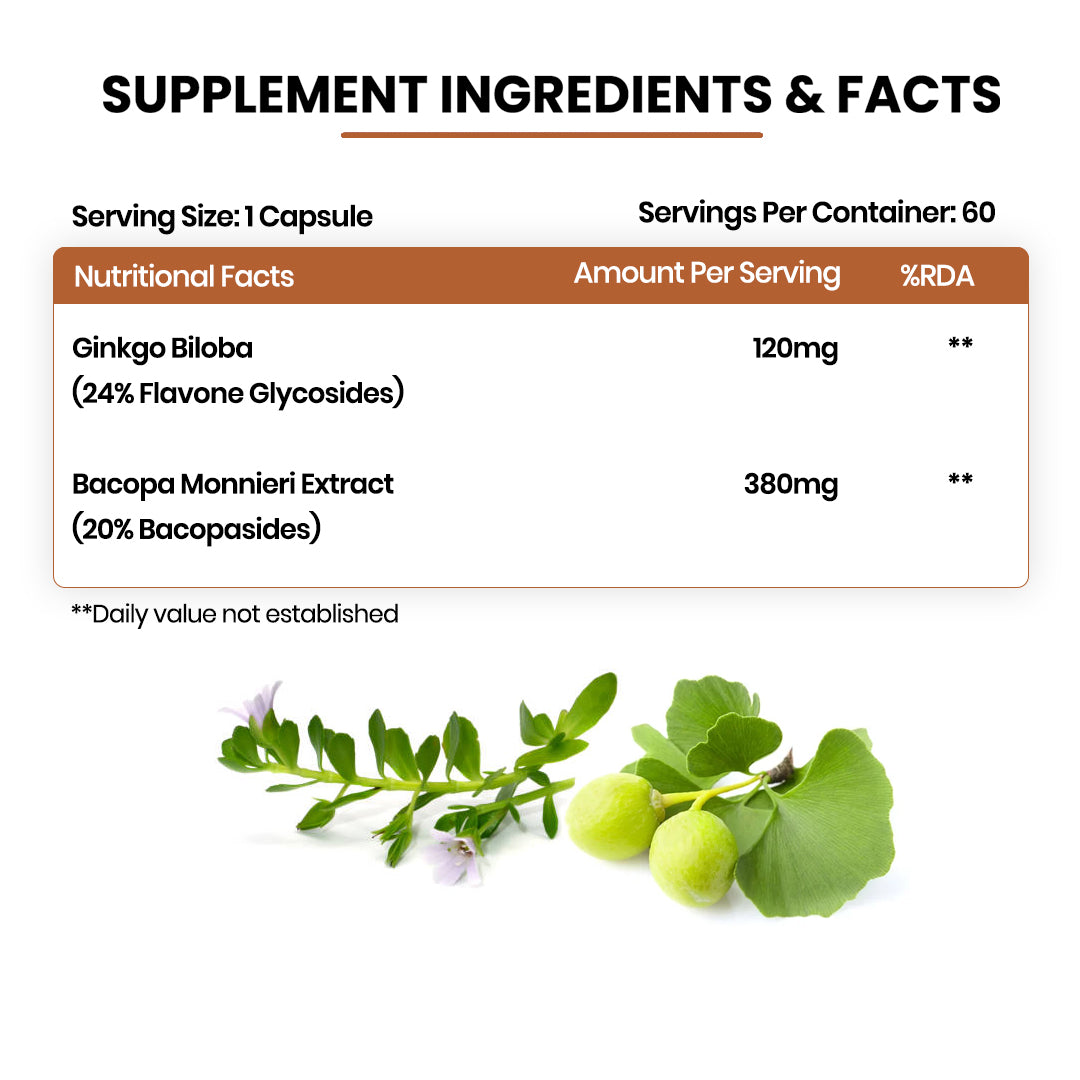 Vlado's Himalayan Organics Ginkgo Biloba for Healthy Brain Functions - 60 Capsules