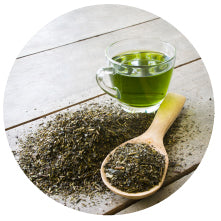 Green Tea Extract