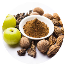 Organic Haritaki (Terminalia chebula)
