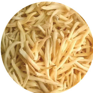Ashwagandha Root Extract