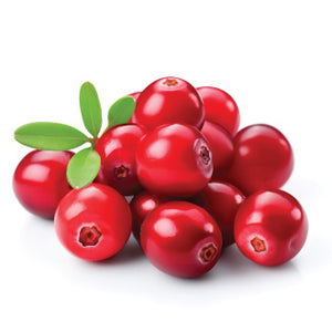 Cranberry Extract