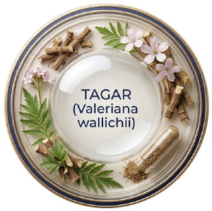 Tagar (Valeriana wallichii)