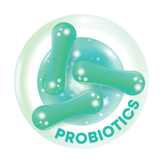 24+ Probiotic Strains