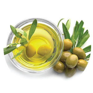 Olive Oil