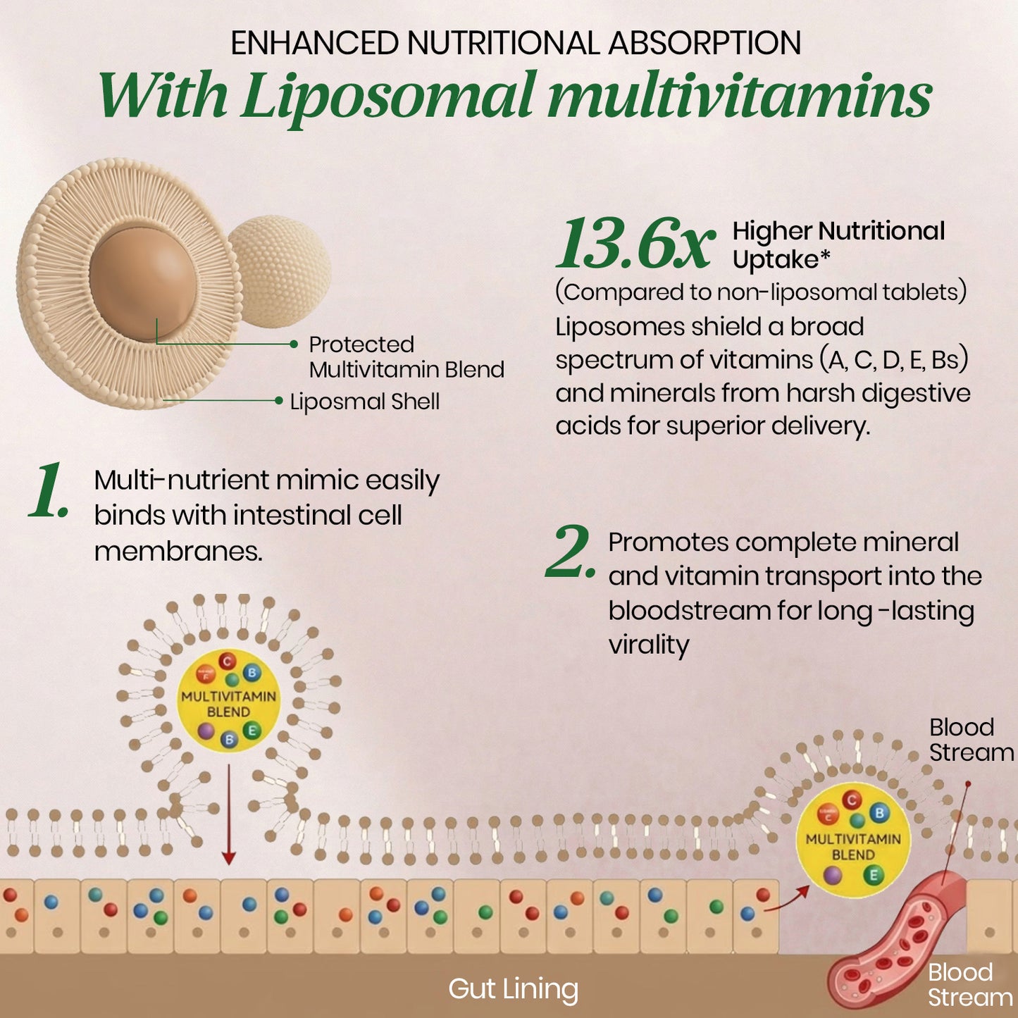 Vlado’s Himalayan Organics Liposomal Multivitamin for Women with 75+ Ingredients | Daily Women’s Health Supplement with 9+ Powerful Blends | Energy, Immunity, Hair Skin & Nails Support | 60 Vegetarian Capsules