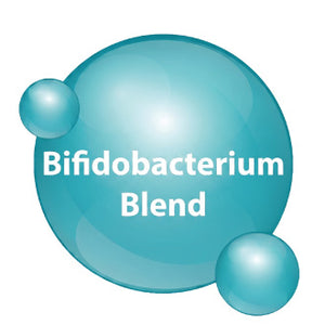 Bifidobacterium Blend