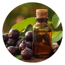 Jamun Extract