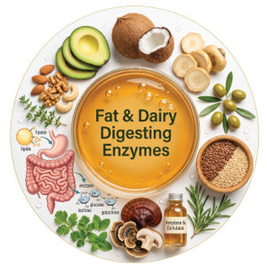 Fat & Dairy Digesting Enzymes